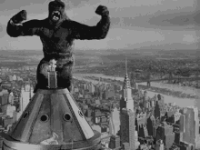 Gif animé King Kong film